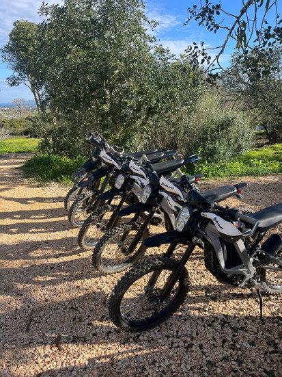 5 surron electric dirtbikes next to each other side view and green trees behind