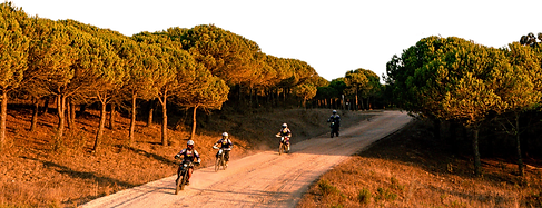 four motocross riders on a dirt road with trees on both sides