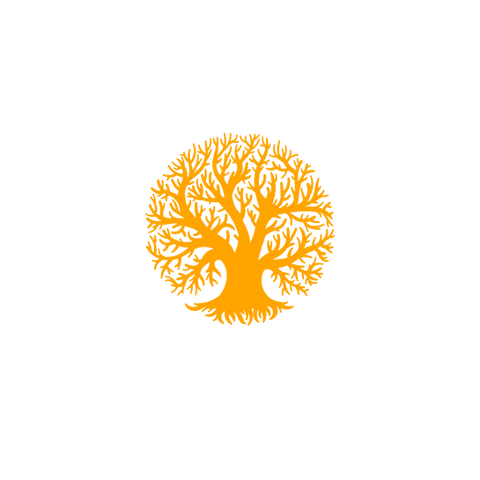 image3.png