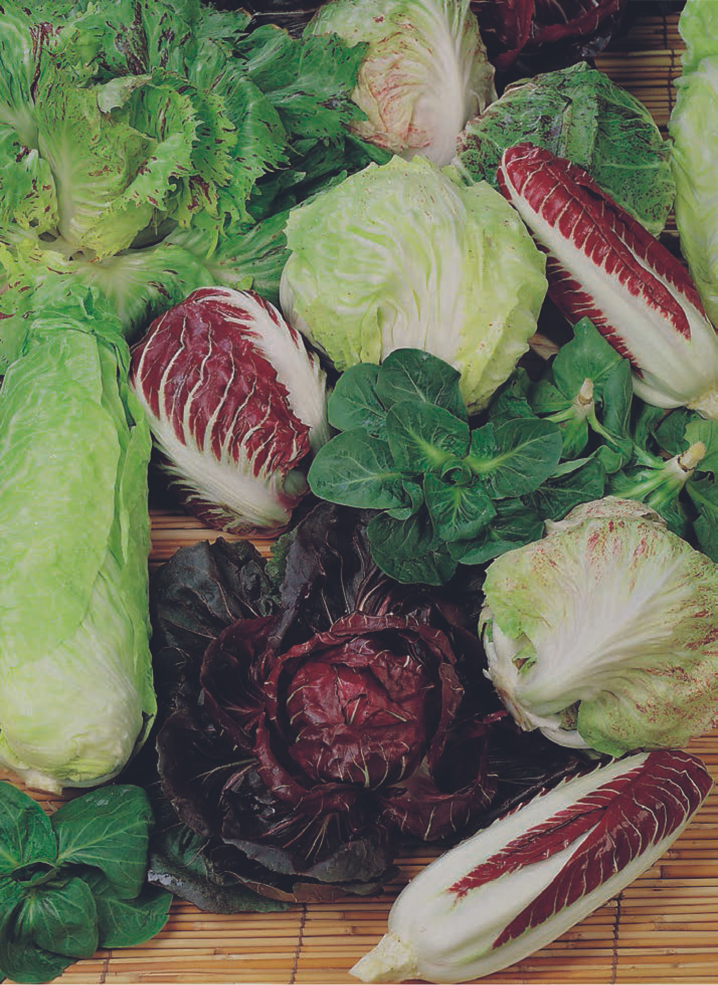 Miscuglio di cicorie e radicchi