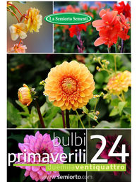 Catalogo Bulbi Primaverili 2024