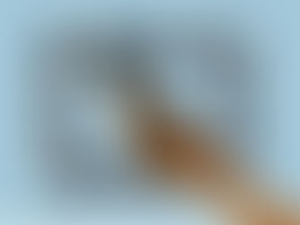 INSTAGRAM'S NEW REPOST FEATURE: WHY IT'S NOT JUST ANOTHER BUTTON (AND HOW TO USE IT)