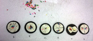 mitosis 4