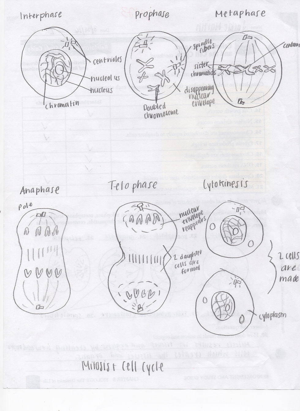 Dodd_Period.2