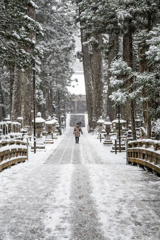 The Magic of Koyasan