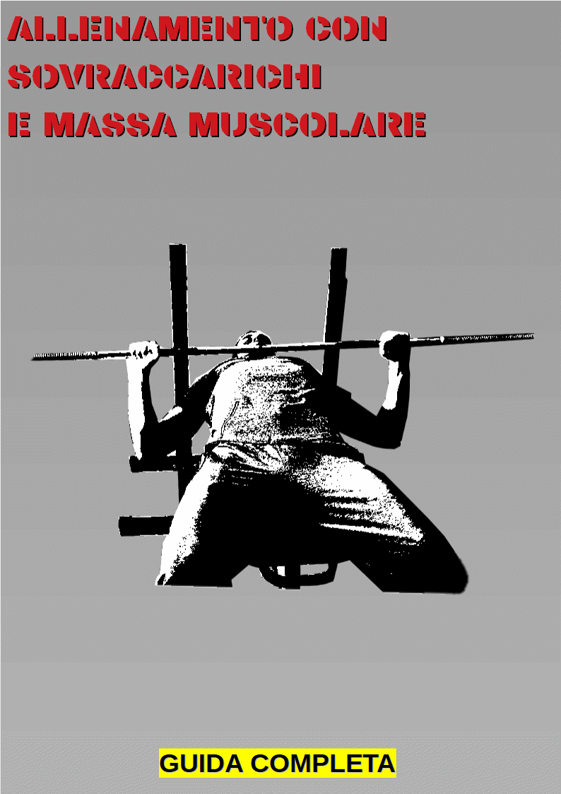 Copertina libro.gif