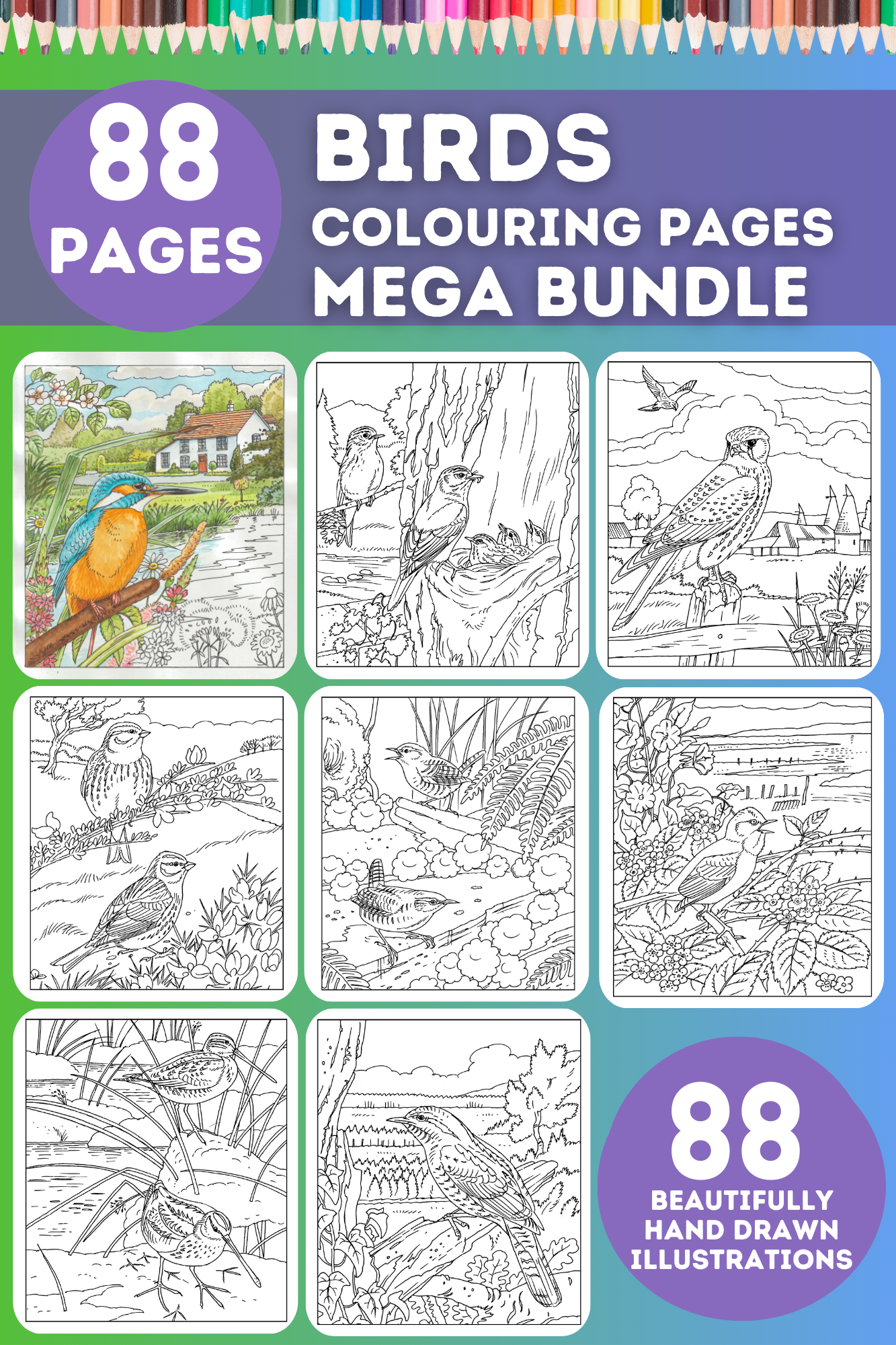 Doodle Design British Birds Adult Colouring