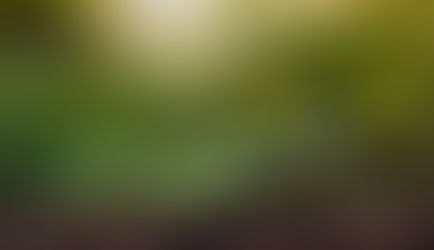 Growth Is Hiding a Bigger Problem: Why Revenue Expansion Is Masking Strategic Weakness in Healthcare