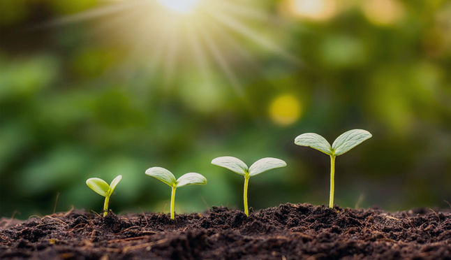 Growth Is Hiding a Bigger Problem: Why Revenue Expansion Is Masking Strategic Weakness in Healthcare