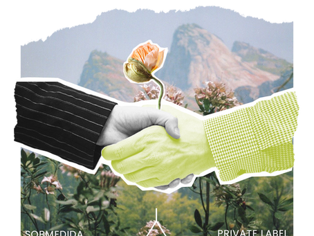 OS DESAFIOS DE COMEÇAR UMA MARCA DE MODA: O IMPACTO DO MODELO DE NEGÓCIO NA SUA JORNADA