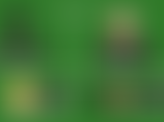 Radical Candor, But Make It Wicked: What Broadway Teaches Us About Leadership