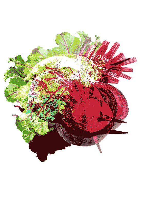 fade-to-singular-beet.gif