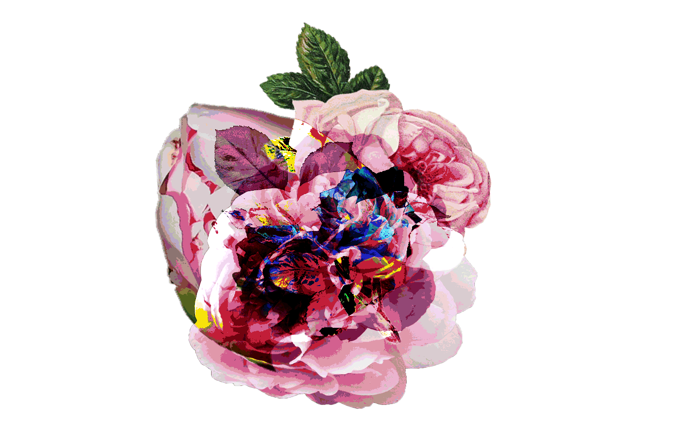 spinning-flowers.gif