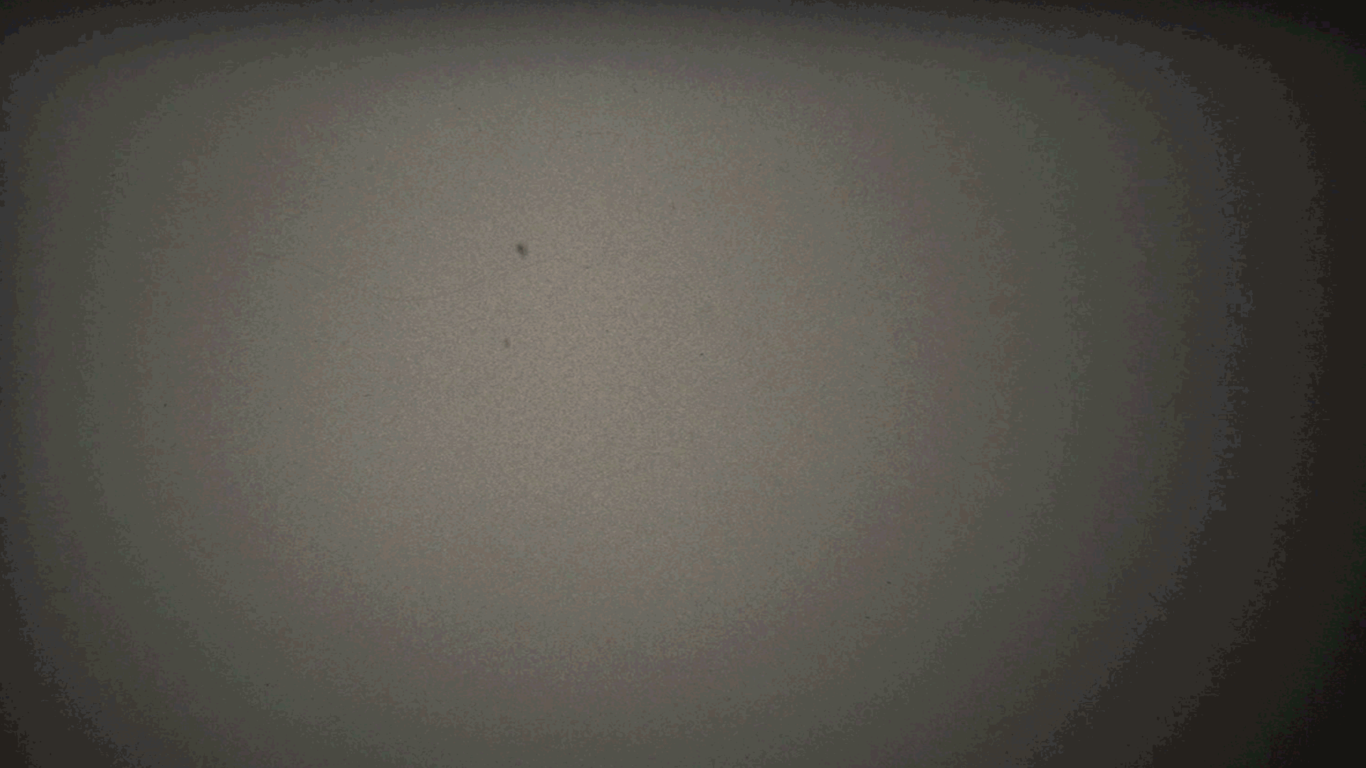experimental-overlay.gif