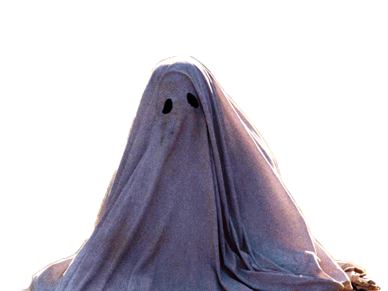 flashes,-ghost,longer.gif