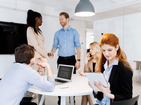 الشركة القابضة