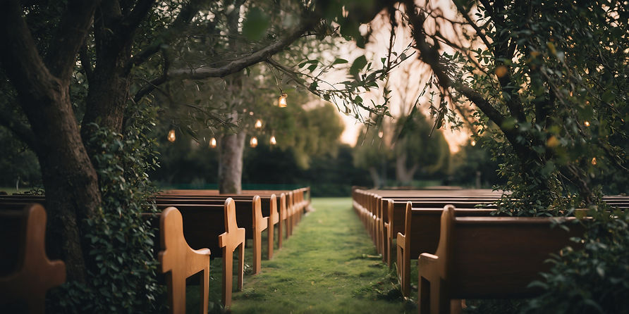 A set of pews outside for a wedding at golden hour with some branches out of focus in the
