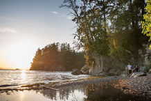 Larabee.jpeg