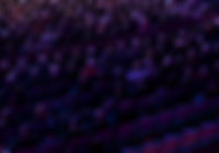 Audience