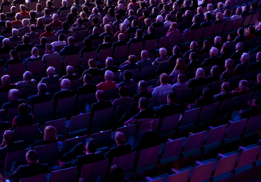 Audience In Theater