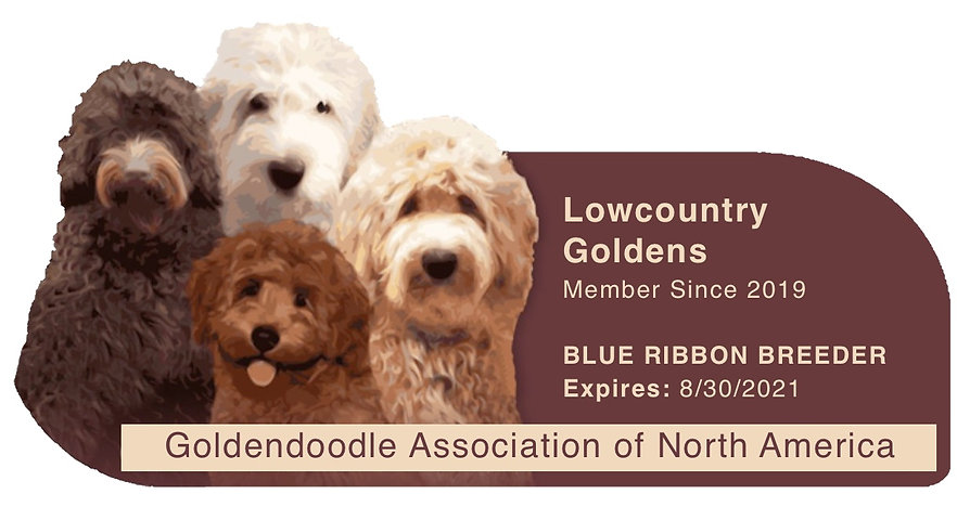 Lowcountry GANA Logo.jpeg