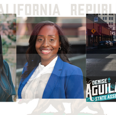 Election Spotlight: California State Assembly District 13    