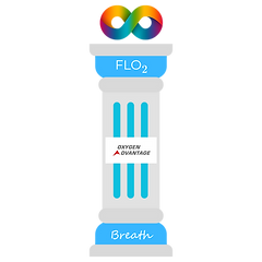 FLO2 Pillar