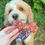 Thumbnail: Pawfect Love Doggy Bone Biscuit