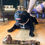 Thumbnail: XL Kangaroo Femur Bone - 1pc