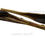 Thumbnail: Kangaroo Top Leg Bone