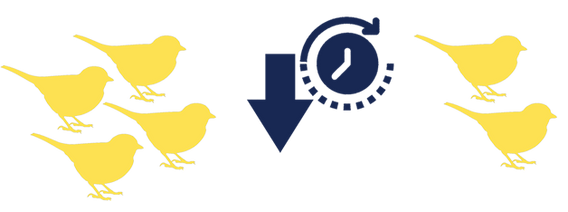 04/08/20 - Pesticides and songbirds - New Paper
