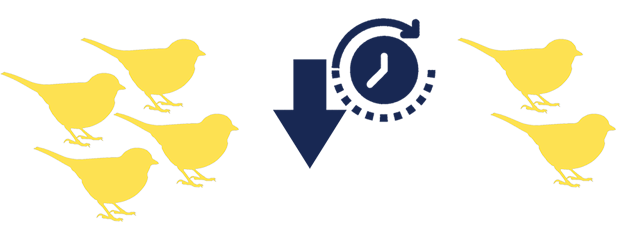 04/08/20 - Pesticides and songbirds - New Paper