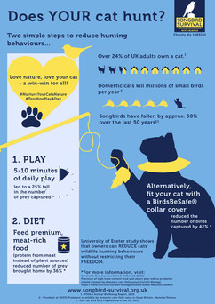 11/02/21 - NEW Research published!