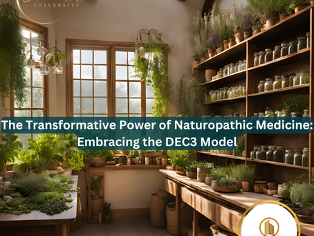 The Transformative Power of Naturopathic Medicine: Embracing the DEC3 Model