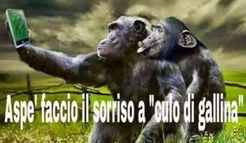 IL NARCISIMO DIGITALE