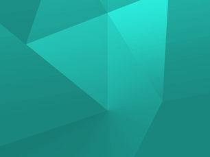 Principles That Guide Our Work at ValuRisk Partners