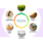 MICO - Circular Economy