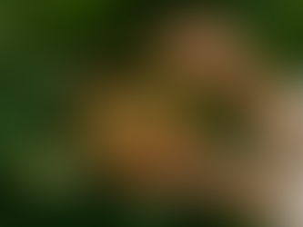 Ce este un Sound Wellness Retreat