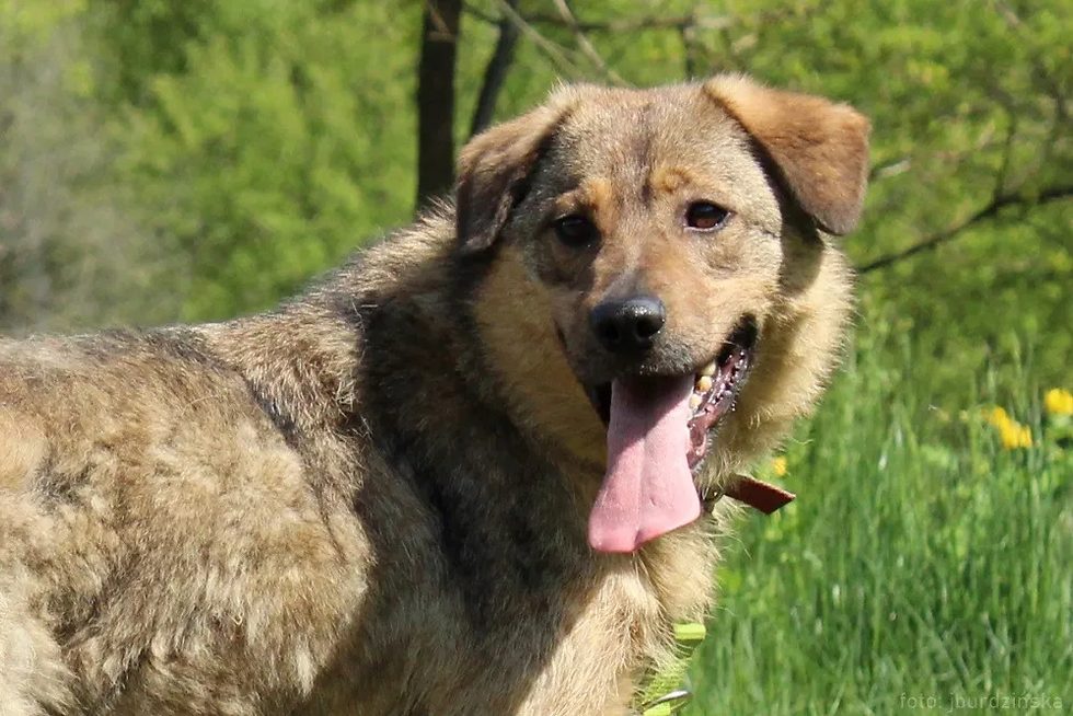 Miniatura: 11636/83/20 Pewex - data przyjęcia - 24.04.2020