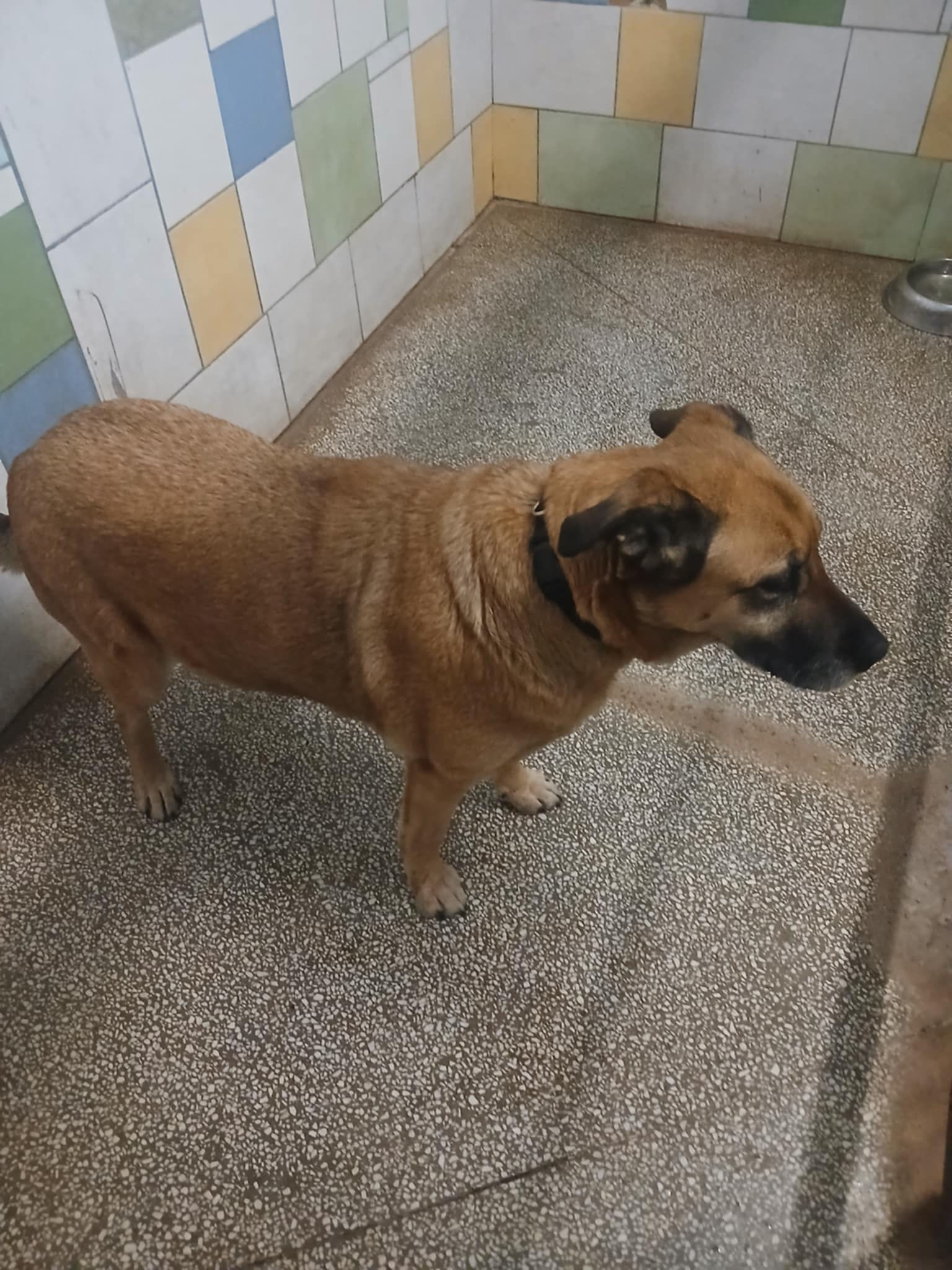 13294/16/26 - data przyjęcia - 19.01.2026