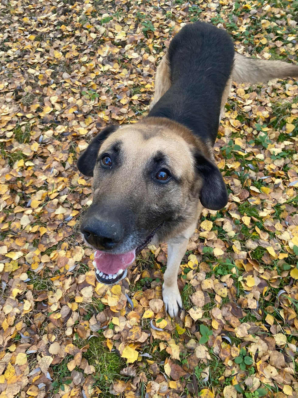 Miniatura: 12693/193/23 Karol  - data przyjęcia – 12.09.2023