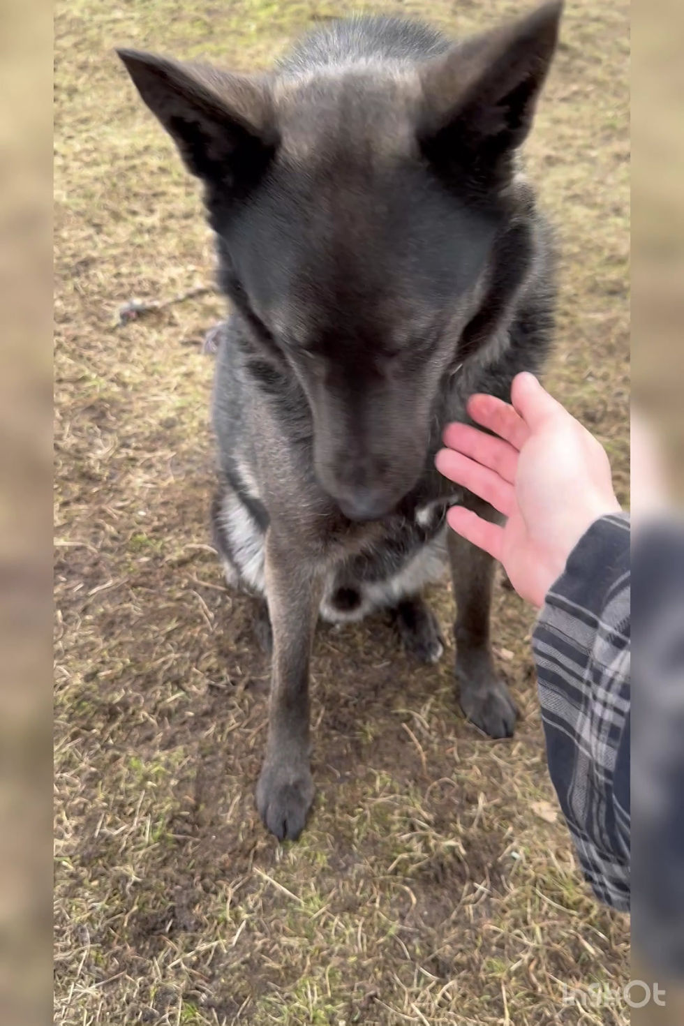 Miniatura: 12708/208/23 Boudi - data przyjęcia - 02-10-2023