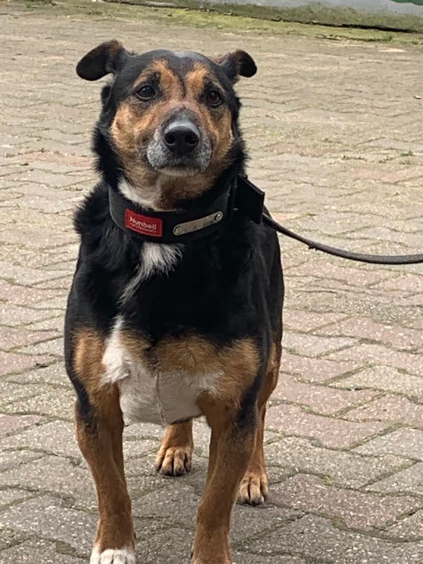 Miniatura: 12581/81/23  Skotie - data przyjęcia – 03.04.2023