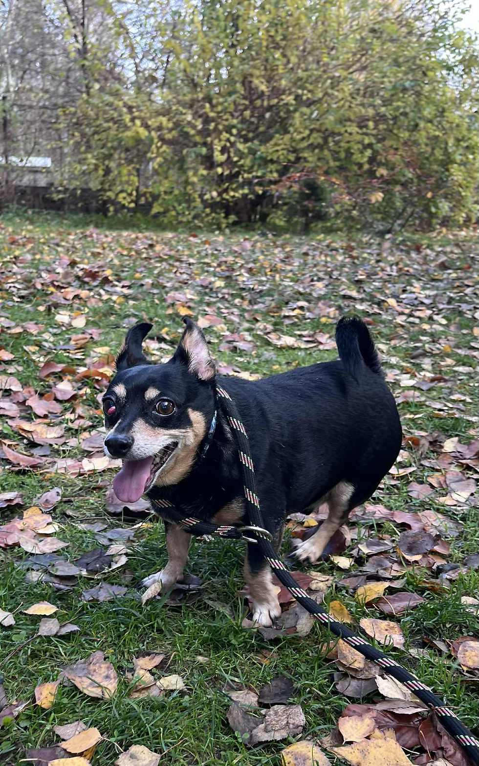 GW/247/22/25 Skubi - data przyjęcia - 30.10.2025