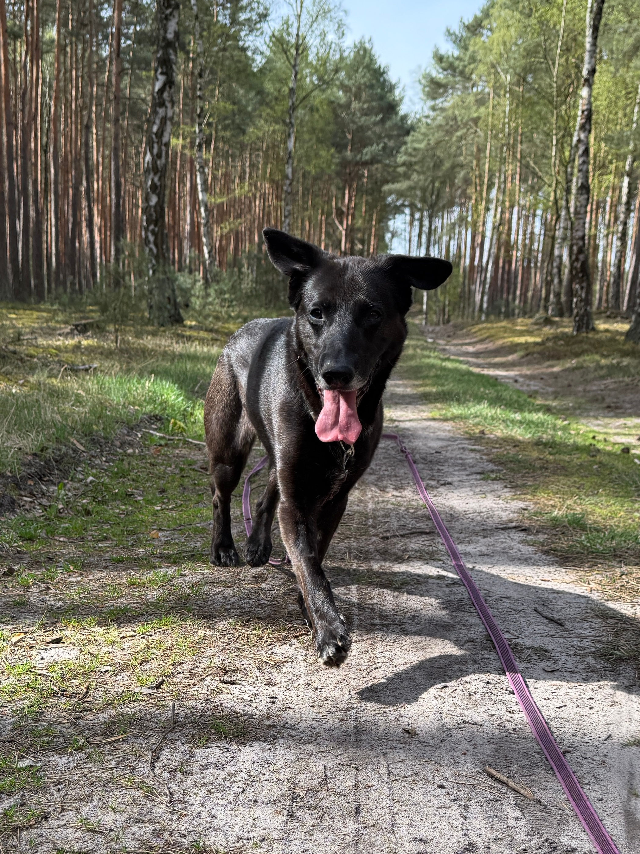 13063/29/25 Pako  - data przyjęcia - 12.02.2025