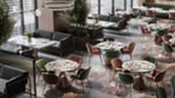 Modern Restaurant Interior
