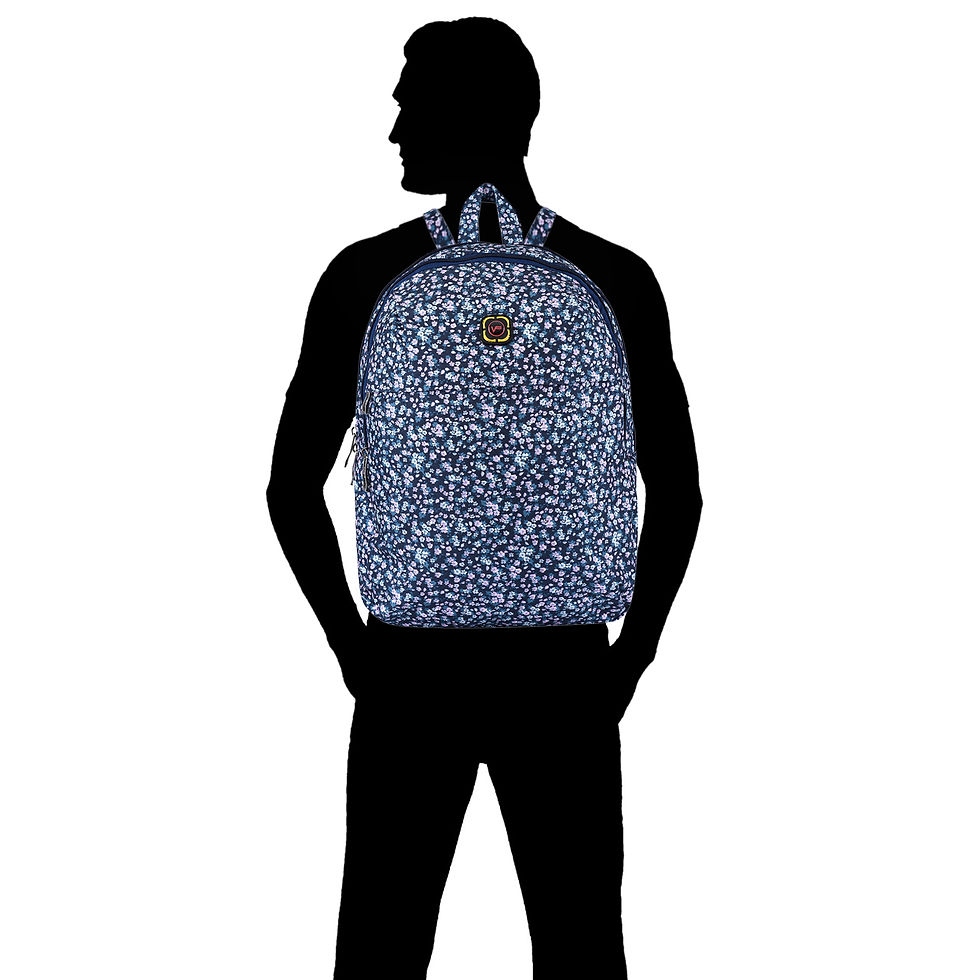 Thumbnail: Florida Printed Day-Pack