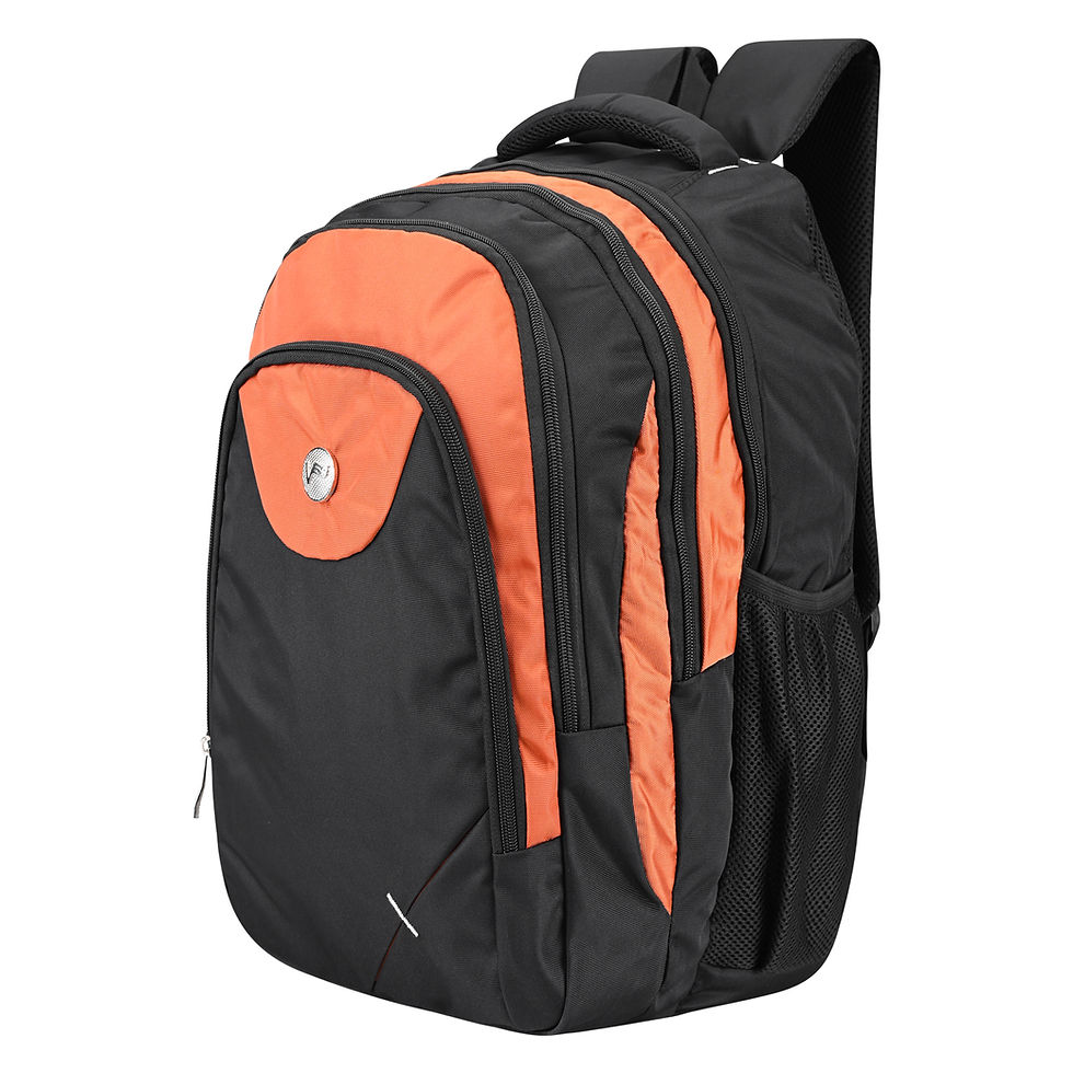 Thumbnail: Bridge Backpack