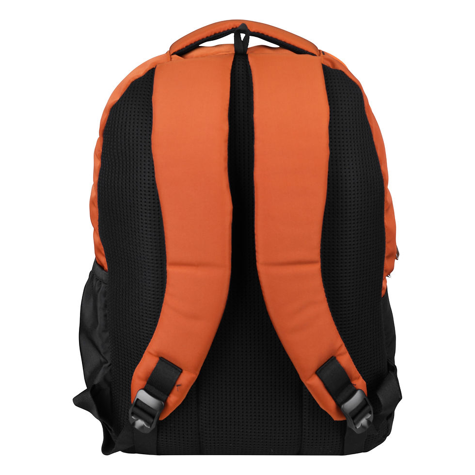 Thumbnail: BMW Backpack