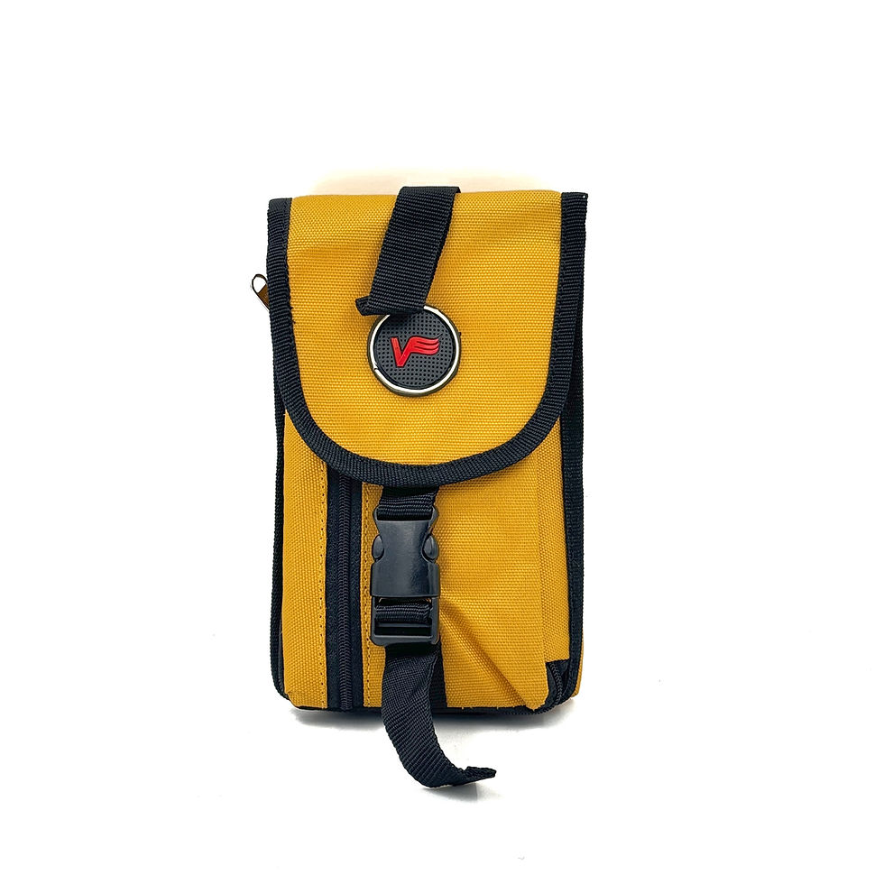 Thumbnail: Lion Multiple Zipper Pouch